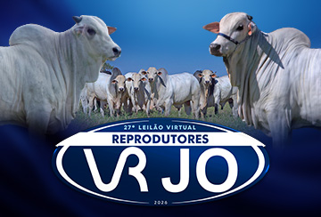 27º LEILÃO VIRTUAL REPRODUTORES VR JO